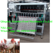 Máquina de depilação de porco / máquina de remoção de pêlos de porco / porco abate máquina